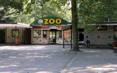 Nowe Zoo w Poznaniu
