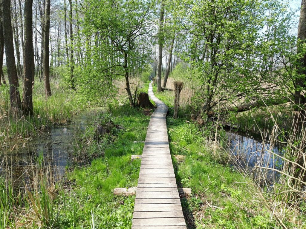 Poleski Park Narodowy